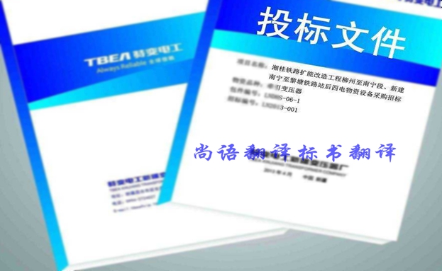 西班牙語投標(biāo)書翻譯價格要多少錢？收費(fèi)標(biāo)準(zhǔn)是什么？
